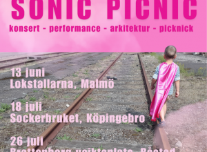 sonicpicnic
