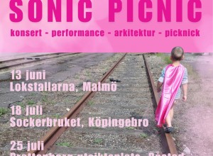 sonicpicnic